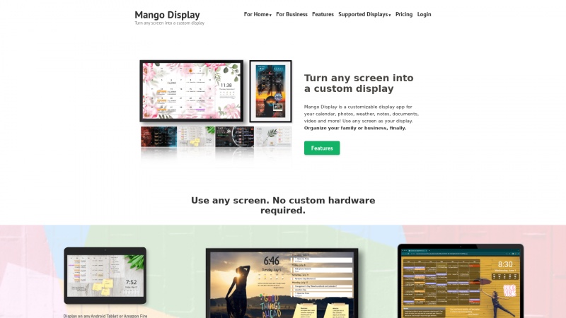 Homepage of mangomirror