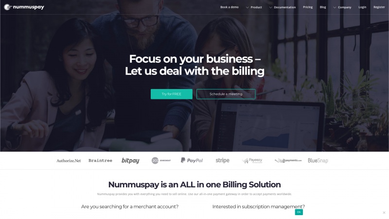 Homepage of nummuspay