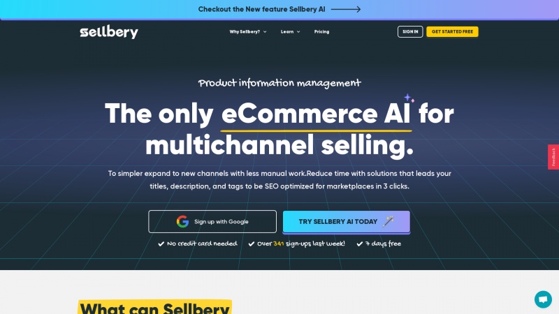 Homepage of sellbery