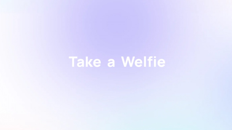 Homepage of welfie