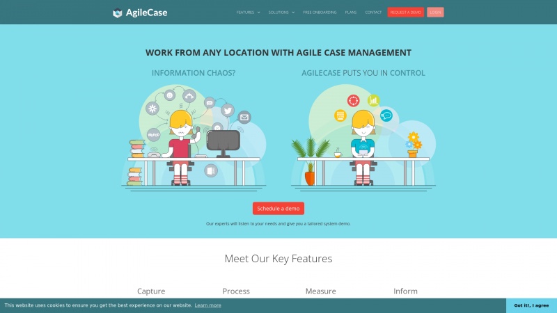 Homepage of agilecase