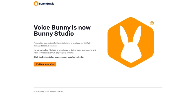 Homepage of voicebunny