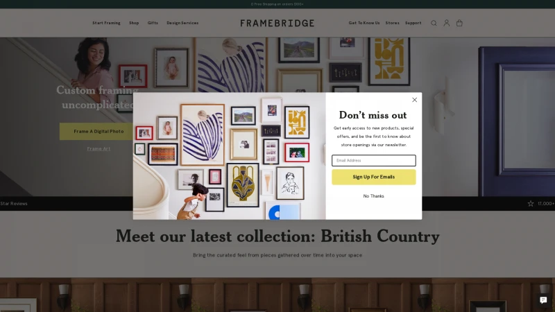 Homepage of framebridge