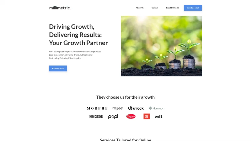 Homepage of millimetric