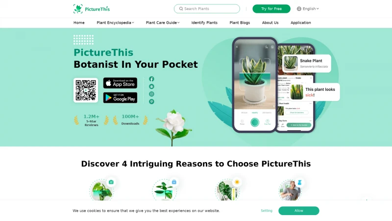 Homepage of picturethisai