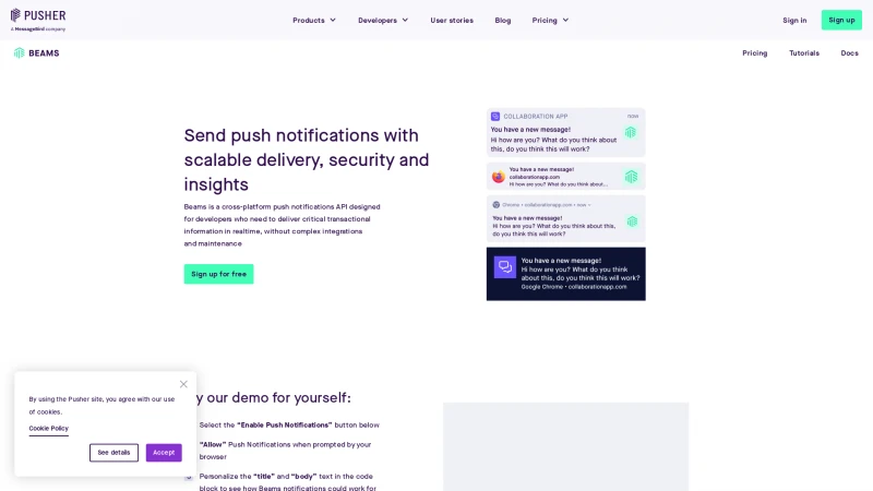 Homepage of pusher