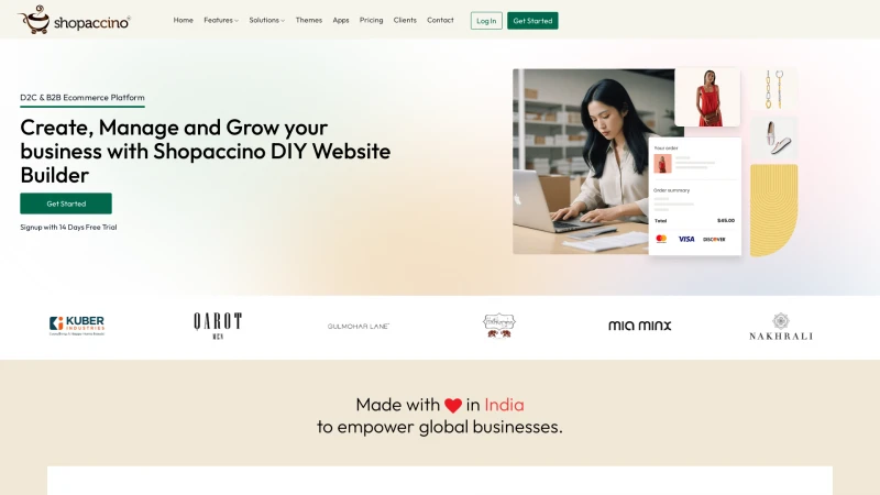 Homepage of shopaccino