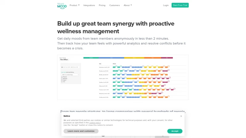 Homepage of teammood