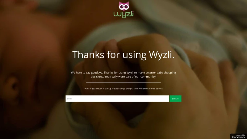 Homepage of wyzli